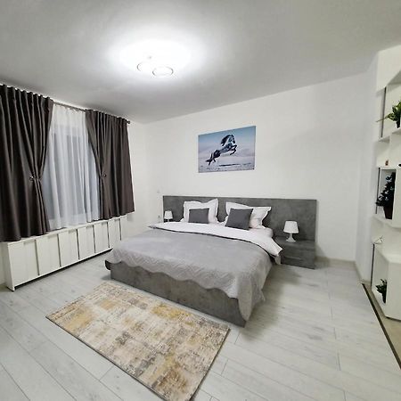 Appartement Fresh Mountain Braşov Extérieur photo