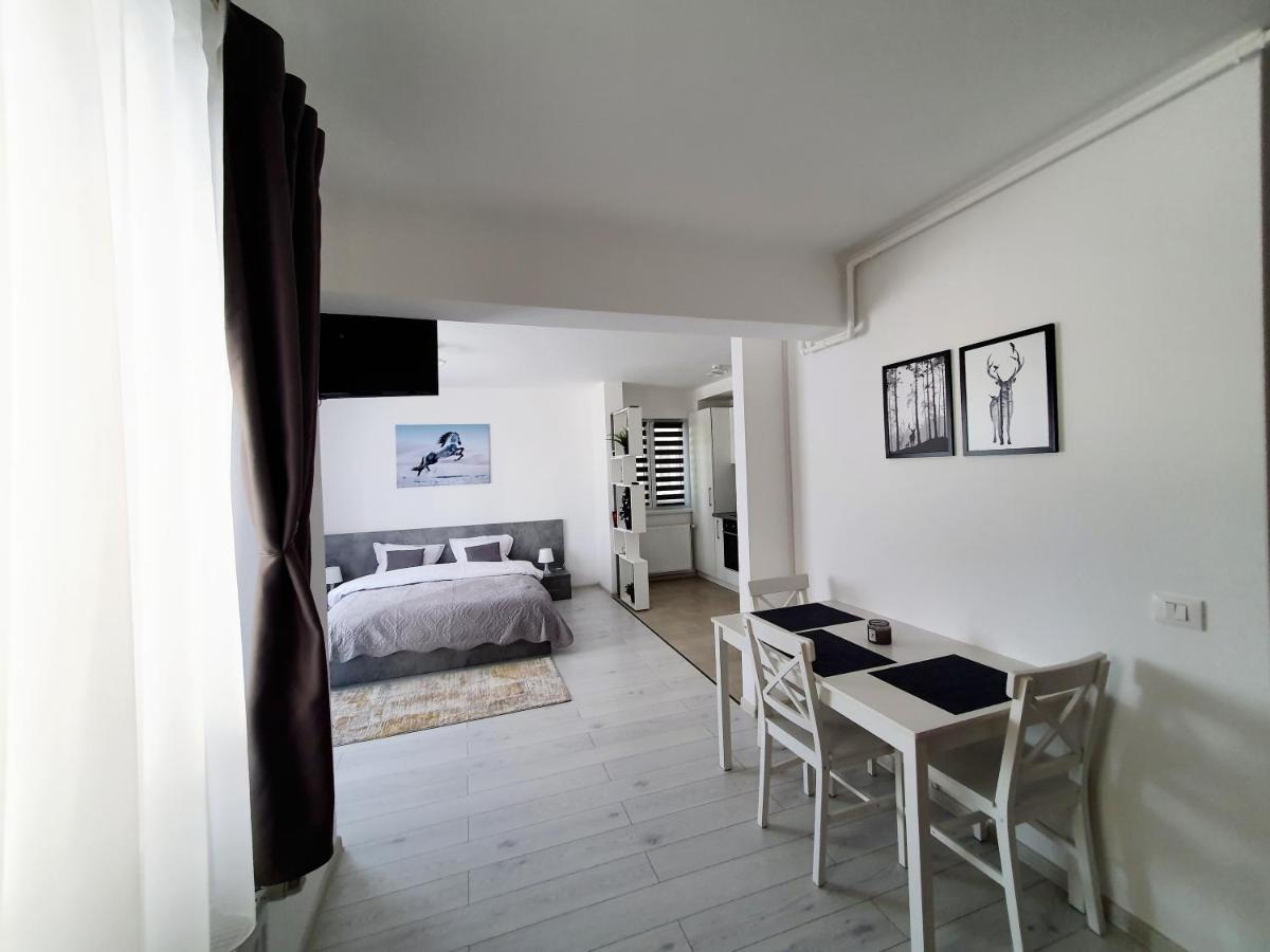 Appartement Fresh Mountain Braşov Extérieur photo