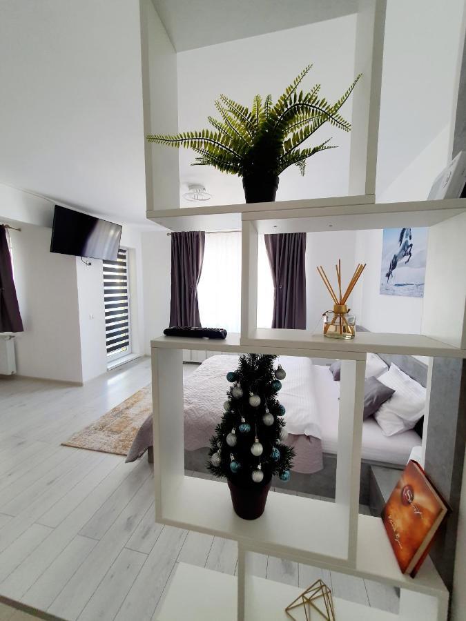 Appartement Fresh Mountain Braşov Extérieur photo