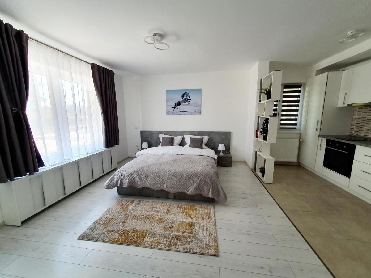 Appartement Fresh Mountain Braşov Extérieur photo
